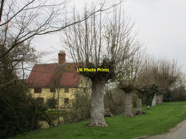 Photo 6"x4" Cocksgreen Farm Cocks Green c2016