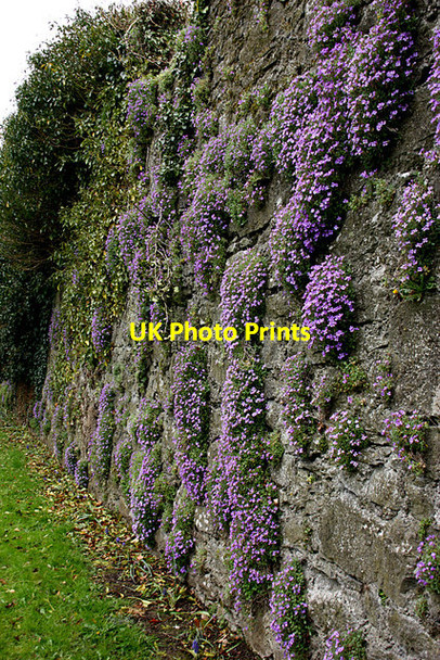 Photo 6"x4" Castle Wall Ballyragget c2016