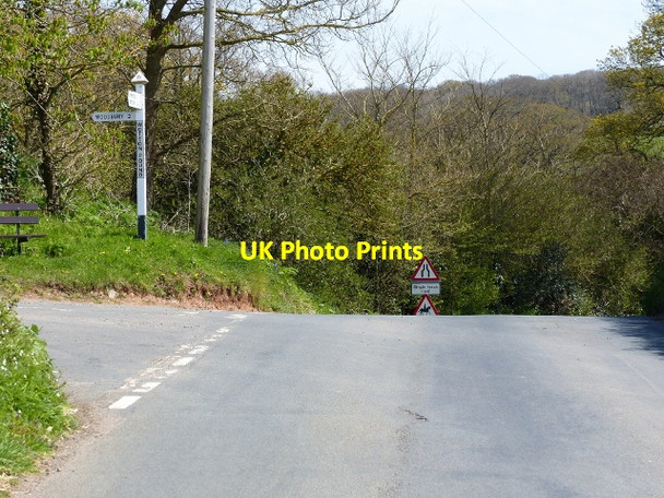 Photo 6"x4" Wotton Pound junction, looking east Lympstone c2016