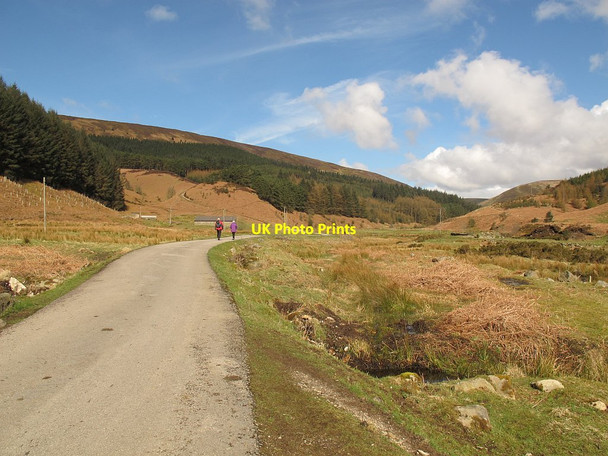 Photo 6"x4" Bridleway through the Dunsop Valley Dunsop Bridge c2016