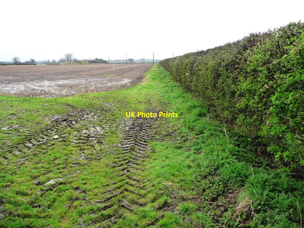 Photo 6"x4" Muddy farmland south of Shipton, on a wet day Shipton\/SE5558 c2016