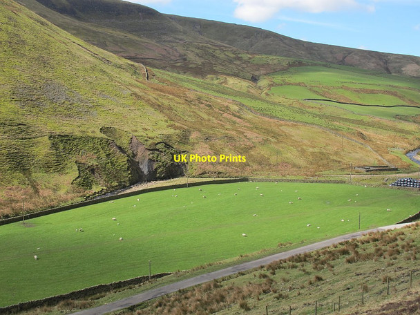 Photo 6"x4" Grazing sheep, Brennand Valley Sykes\/SD6351 c2016