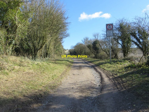 Photo 6"x4" The Ridgeway Woolstone\/SU2987 c2016