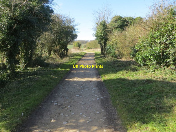 Photo 6"x4" Easy Walking Woolstone\/SU2987 c2016