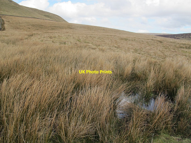 Photo 6"x4" Boggy ground north of Middle Knoll Sykes\/SD6351 c2016