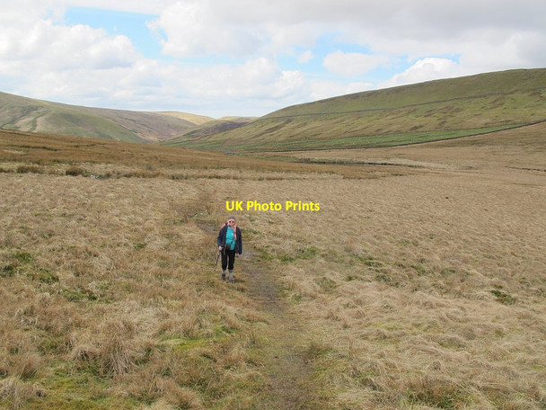 Photo 6"x4" Out of the bog Sykes\/SD6351 c2016