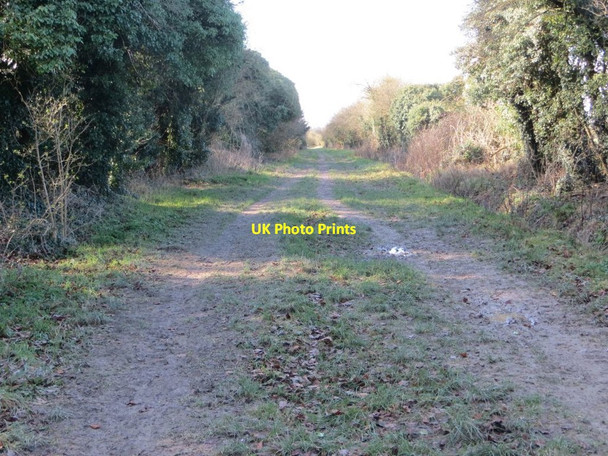 Photo 6"x4" Ridgeway past Wayland Smithy Ashbury\/SU2685 c2016