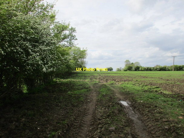 Photo 6"x4" Muddy field near Willoughby on the Wolds Willoughby-on-the-Wolds c2016