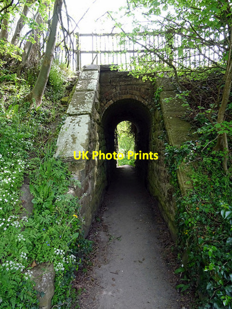 Photo 6"x4" Path under the railway... Garth Trevor c2016