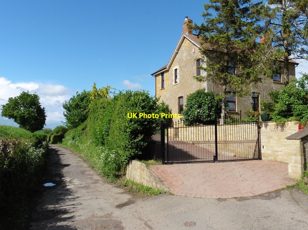 Photo 6"x4" Rose Villa Burrow\/ST4120 c2016