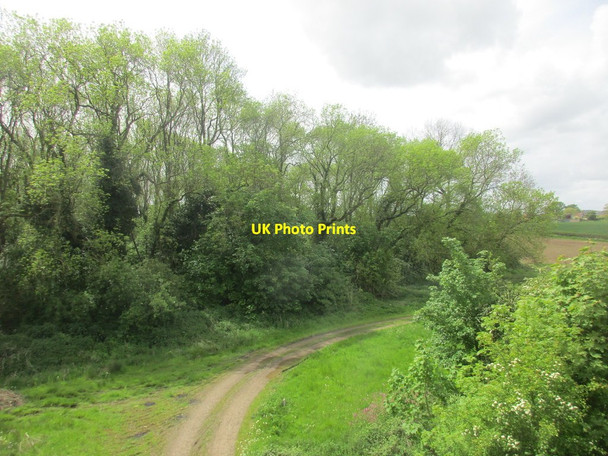 Photo 6"x4" Track and Fox Covert Thurcaston c2016