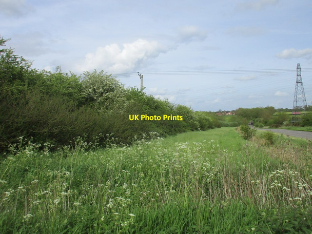 Photo 6"x4" Wide verge Willoughby-on-the-Wolds c2016