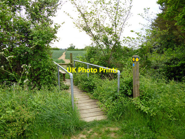 Photo 6"x4" Footpath near Monk's Farm Coggeshall Hamlet c2016