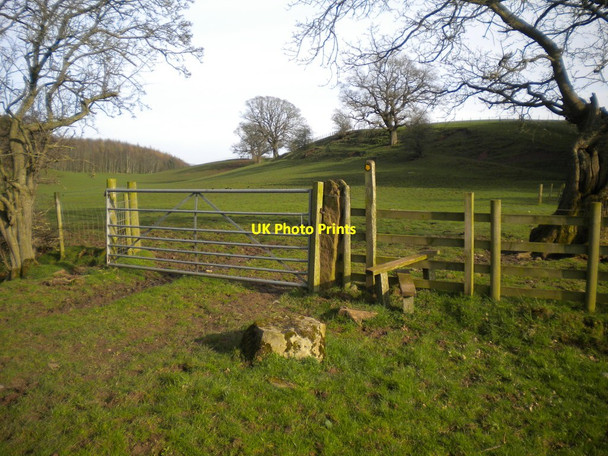 Photo 6"x4" Gate and stile south of Kirkoswald Kirkoswald\/NY5541 c2016