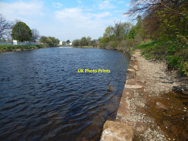 Photo 6"x4" Embankment of the River Leven Alexandria c2016