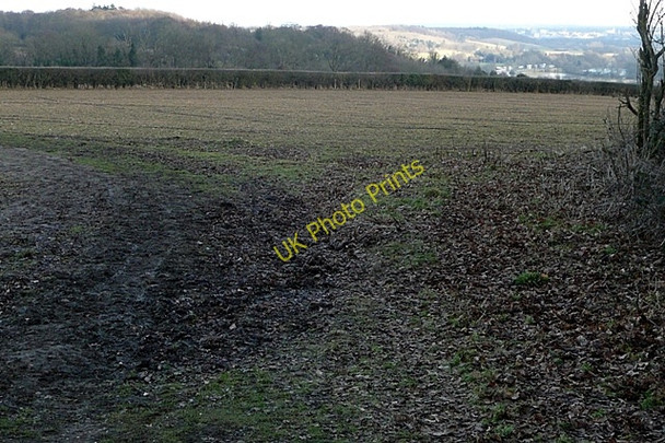 Photo 6"x4" Path Hill Collins End c2009