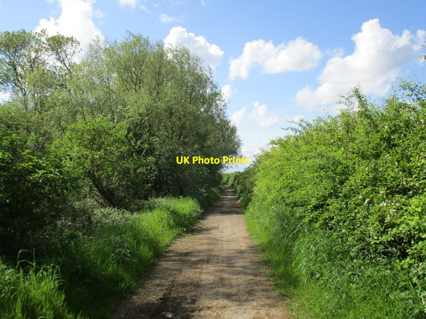 Photo 6"x4" Footpath alongside Willow Holt Flixborough c2016