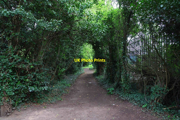 Photo 6"x4" Public footpath to Hindlip Lane, Worcester Worcester c2016