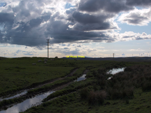 Photo 6"x4" Track on Bonnyton Moor Eaglesham c2016