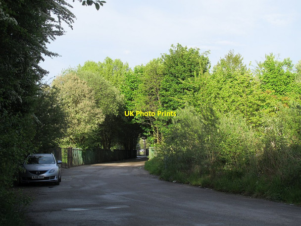 Photo 6"x4" Redcote Lane, north of the railway bridges Upper Armley c2016