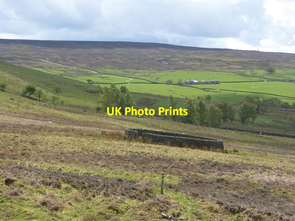 Photo 6"x4" Sheepfold above Burntshield Haugh Farm Baybridge\/NY9550 c2016
