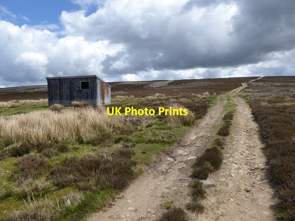 Photo 6"x4" Shed and track on Bulbeck Common Baybridge\/NY9550 c2016