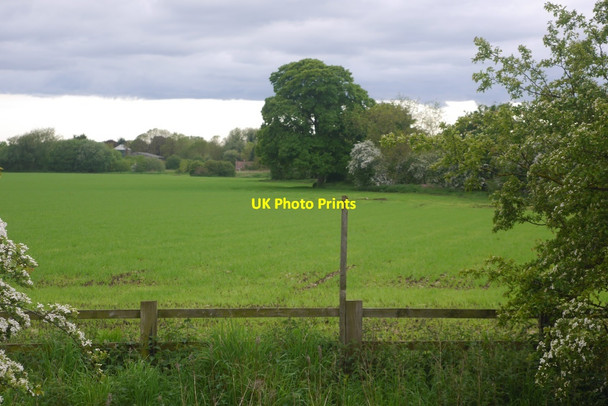 Photo 6"x4" Field on the edge of Thirsk Old Thirsk c2016