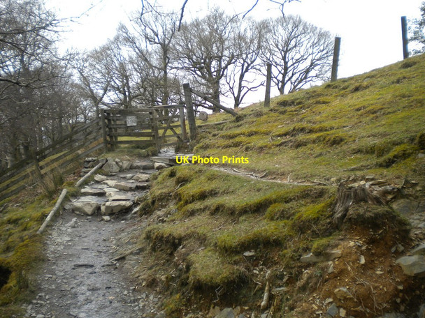 Photo 6"x4" Bridleway south east of Buttermere village (2) Buttermere\/NY1717 c2016