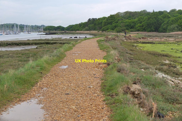 Photo 6"x4" Path on the embankment, River Hamble Hamble-le-Rice c2016