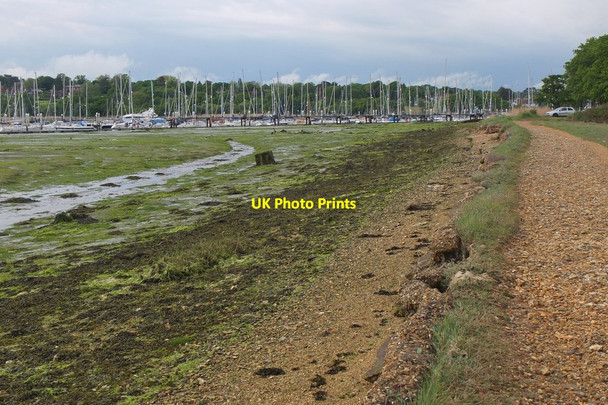 Photo 6"x4" Embankment, River Hamble Bursledon c2016