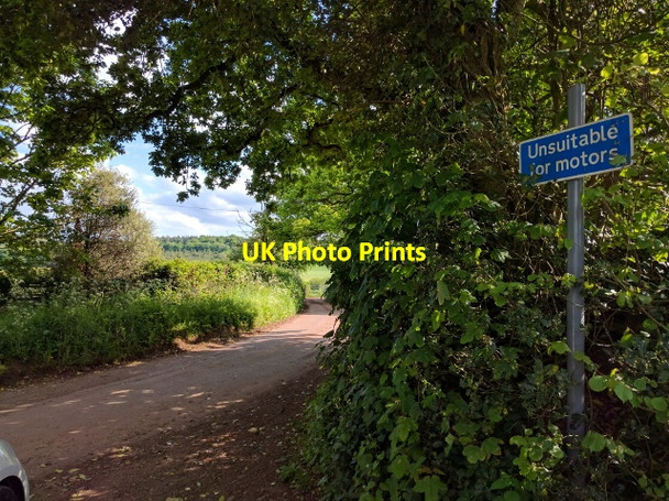 Photo 6"x4" Lane to East Butterleigh East Butterleigh c2016