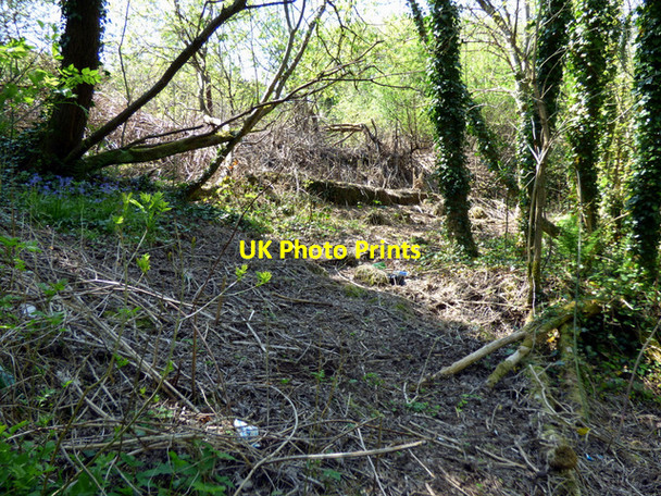 Photo 6"x4" Old house foundations Port Glasgow c2016