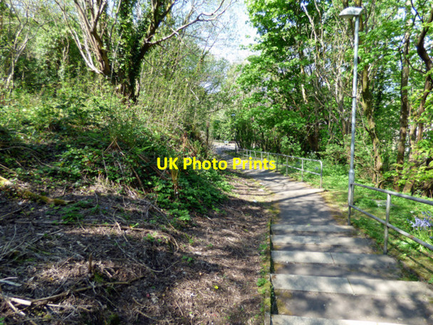 Photo 6"x4" Lane off Barr's Brae Port Glasgow c2016