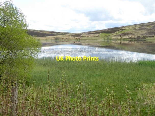 Photo 6"x4" Western end of Alemoor Reservoir Roberton\/NT4214 c2016 P1