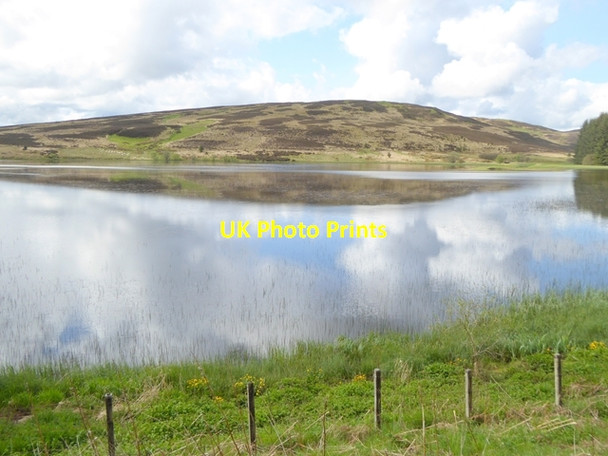 Photo 6"x4" Western end of Alemoor Reservoir Roberton\/NT4214 c2016