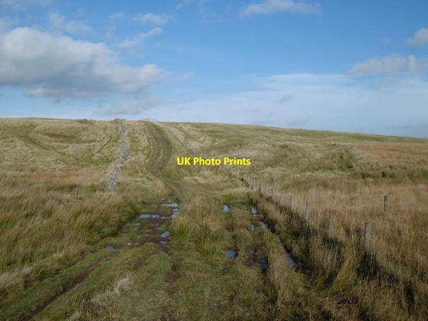 Photo 6"x4" Dere Street Chatto c2015