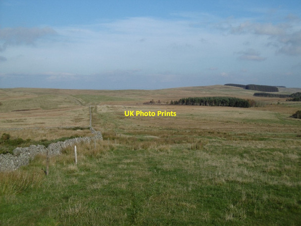 Photo 6"x4" Dere Street Chatto c2015 P1