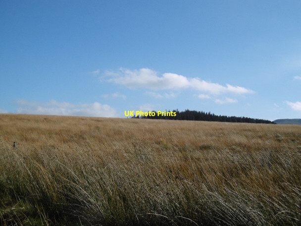 Photo 6"x4" Rashy ground, Pennymuir Rig Dere Street (Roman Road)\/NT7513 c2015