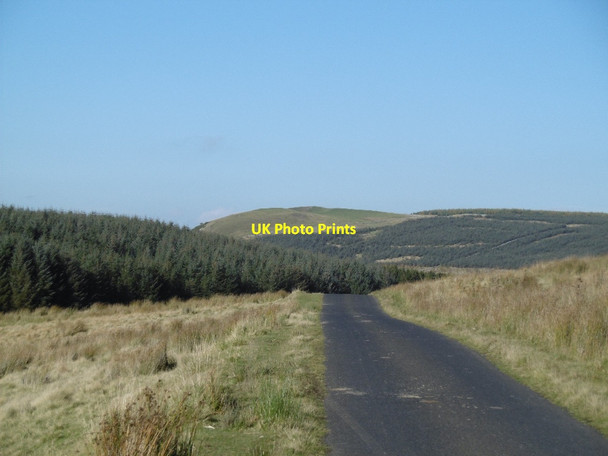 Photo 6"x4" Unfenced road, Cheviot Hills Swinside Hall c2015