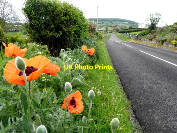 Photo 6"x4" Corkhill Road, Eskragh Garvaghy c2016