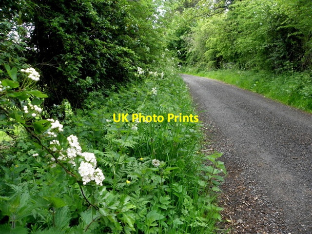 Photo 6"x4" Eskragh Road Garvaghy c2016
