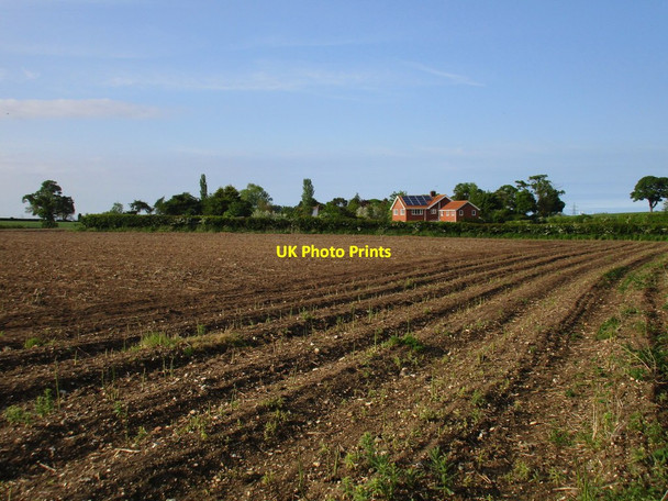 Photo 6"x4" View across an asparagus field Riby c2016