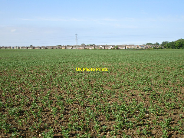Photo 6"x4" View towards Wybers Wood Wybers Wood\/TA2308 c2016