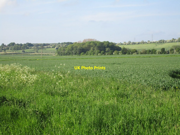 Photo 6"x4" View towards Willow Holt Flixborough c2016