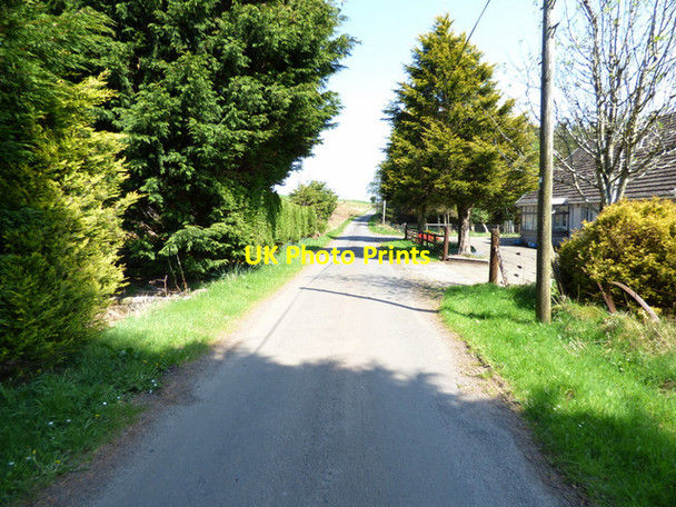 Photo 6"x4" Loch Thom Road Devol c2016