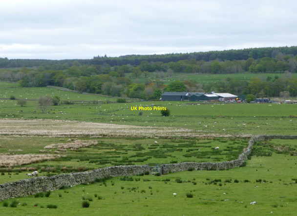 Photo 6"x4" Moss Dyke farm Mungrisdale c2016