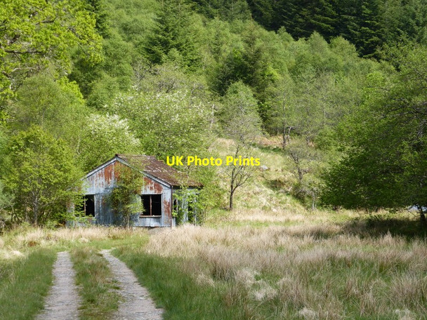 Photo 6"x4" Slowly decaying shed, Gleann Fionnlighe, Uachan Kinlocheil c2016