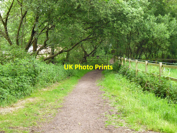 Photo 6"x4" Footpath towards Dunstall Green Stanners Hill c2016