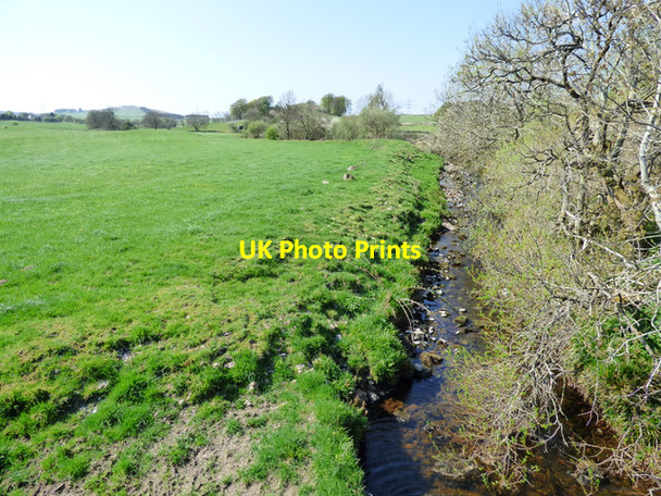 Photo 6"x4" Green Water Devol c2016