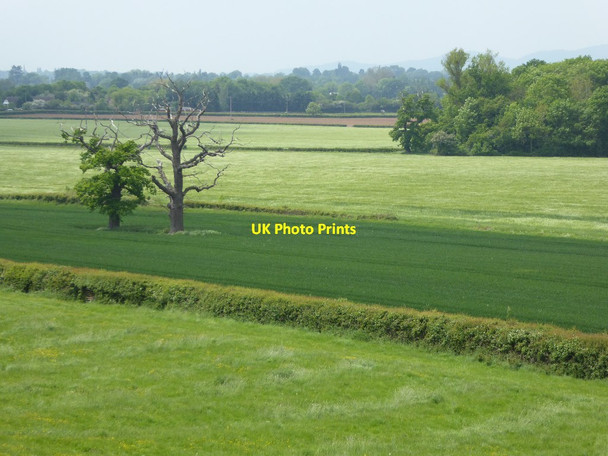 Photo 6"x4" Farmland near Dunstall Farm Dunstall Common c2016